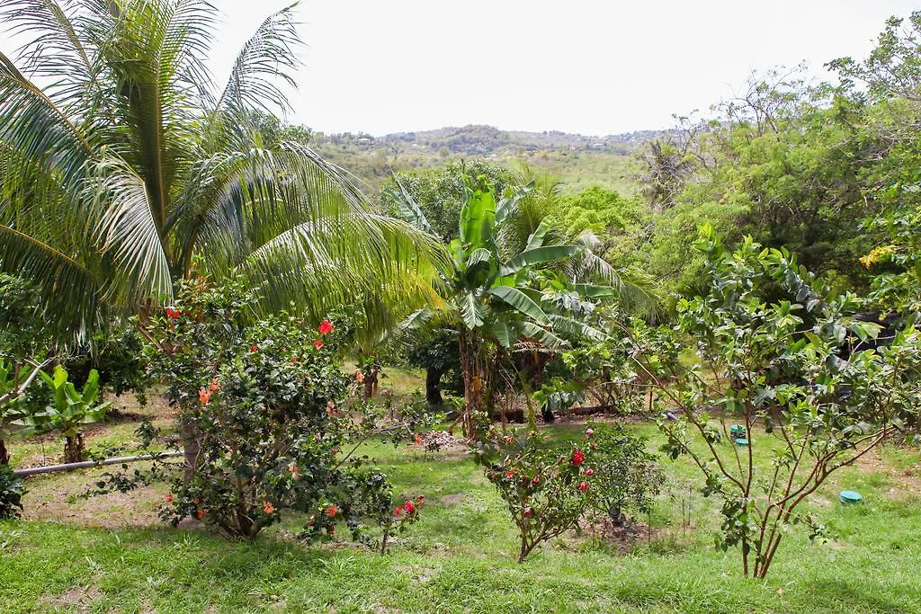 Appartement Kaivivi à Le Marin Martinique
